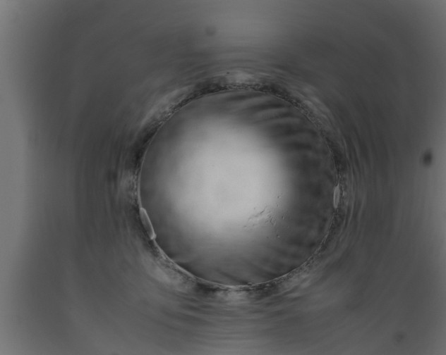 X0000089460419200707061307