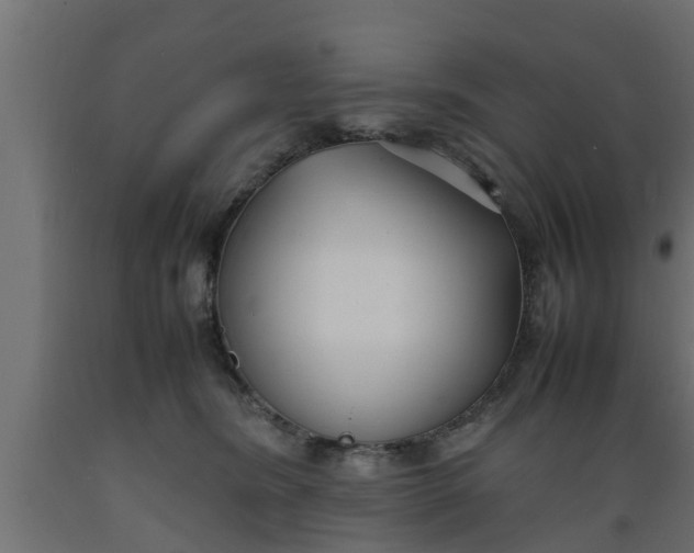 X0000089460420200707061307
