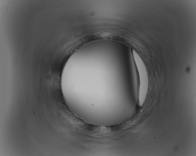 X0000089460421200707061307