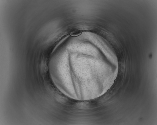 X0000089460422200707061307