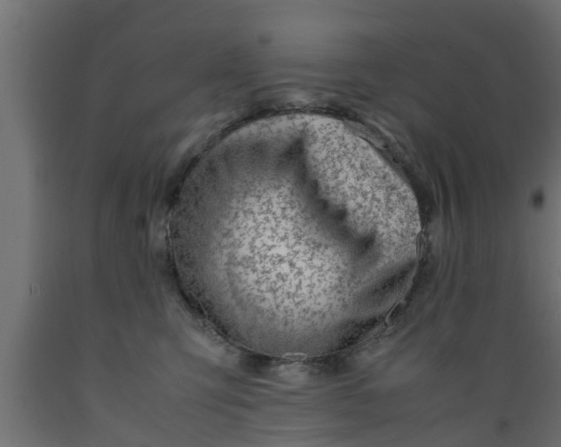 X0000089460423200707061307