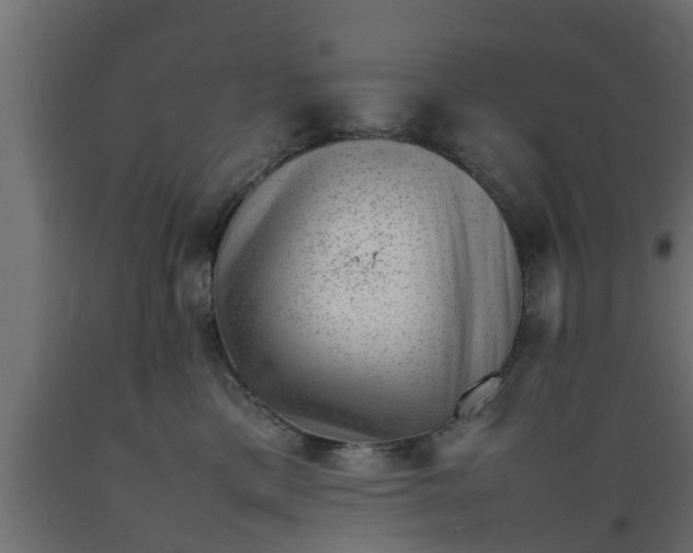 X0000089460425200707061307
