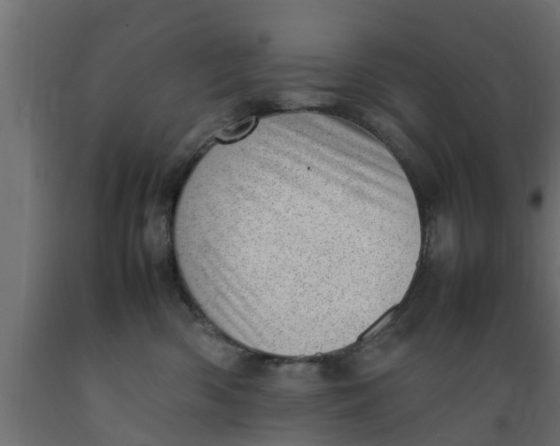 X0000089460426200707061307
