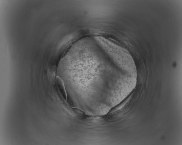 X0000089460427200707061307