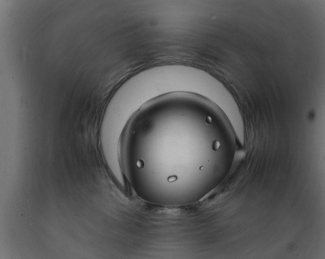 X0000089460428200707061307