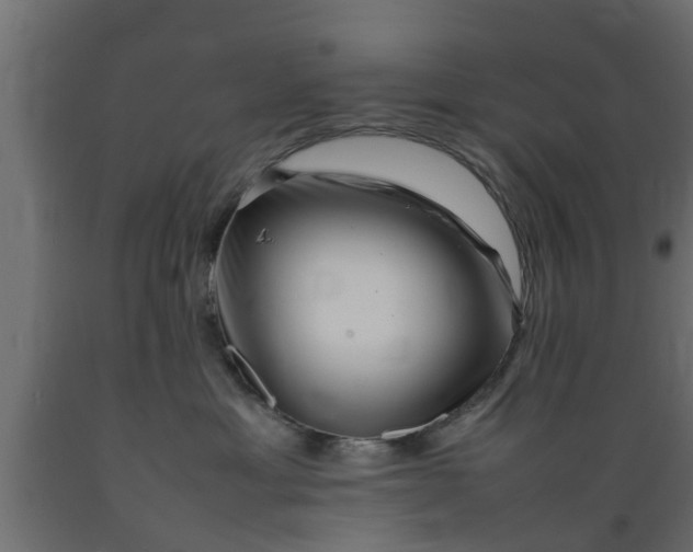 X0000089460429200707061307