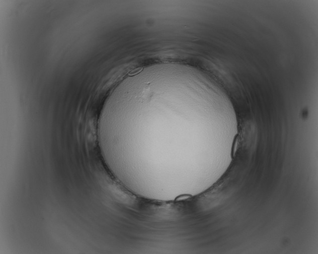 X0000089460430200707061307