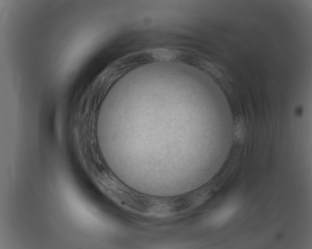 X0000089460431200707061307