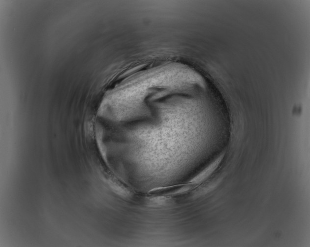 X0000089460432200707061307