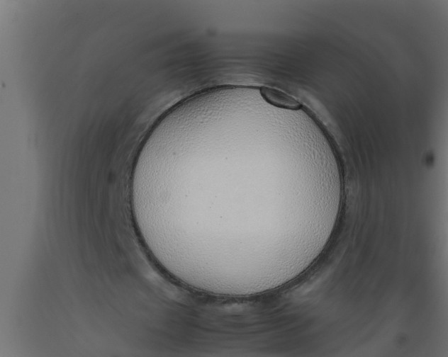 X0000089460433200707061306