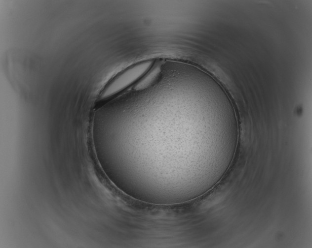 X0000089460434200707061306