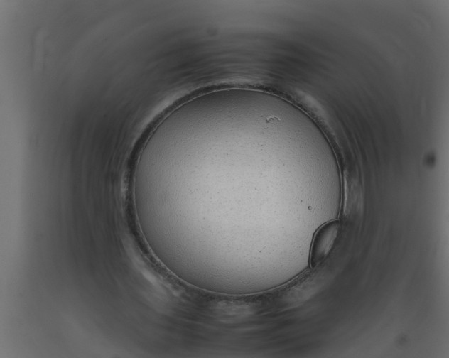 X0000089460435200707061306