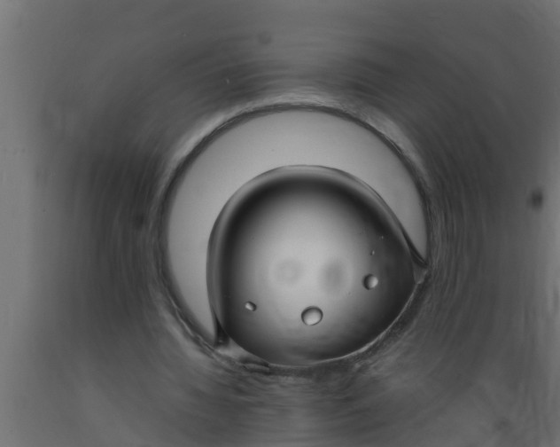 X0000089460436200707061306