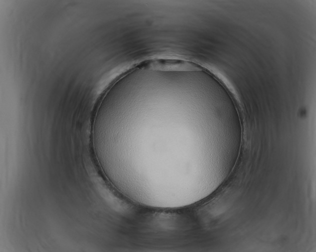 X0000089460437200707061306