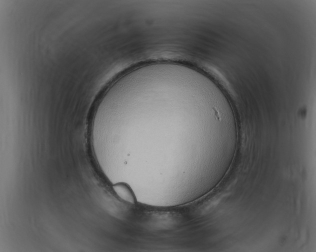X0000089460439200707061306