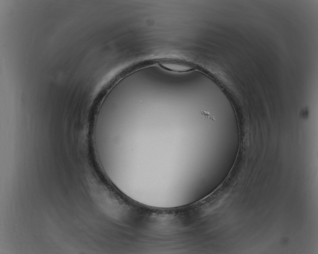 X0000089460440200707061306