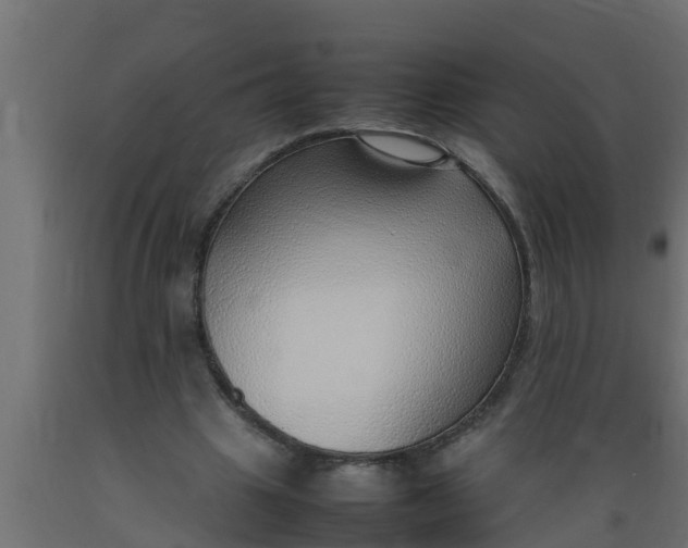X0000089460441200707061306