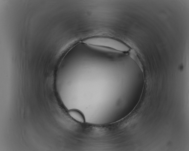 X0000089460442200707061306
