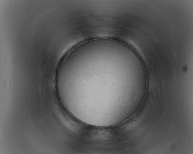 X0000089460443200707061306