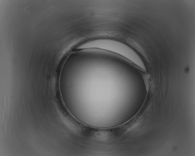 X0000089460444200707061306