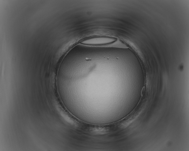 X0000089460445200707061306