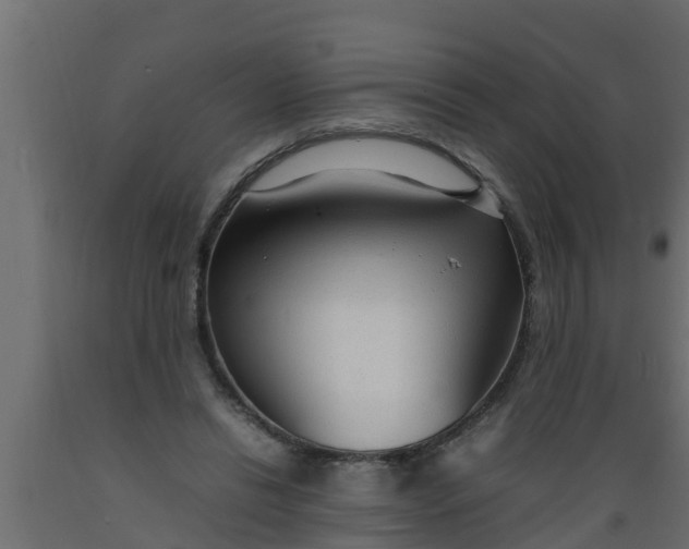 X0000089460446200707061306