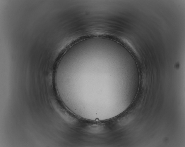 X0000089460447200707061306