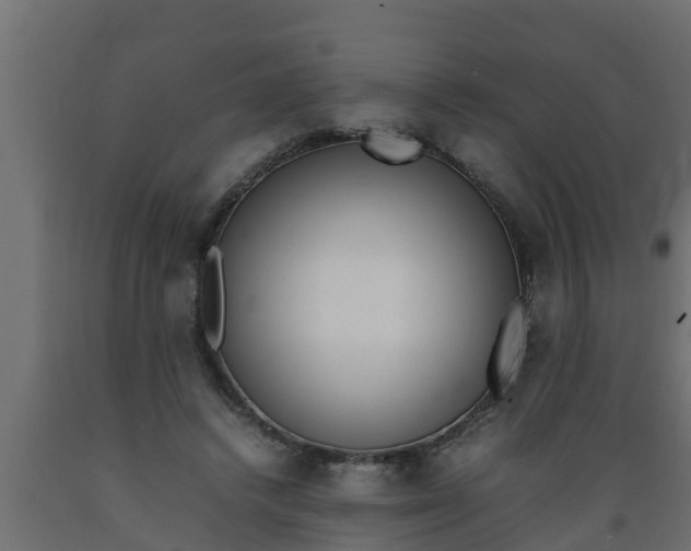 X0000089460448200707061306