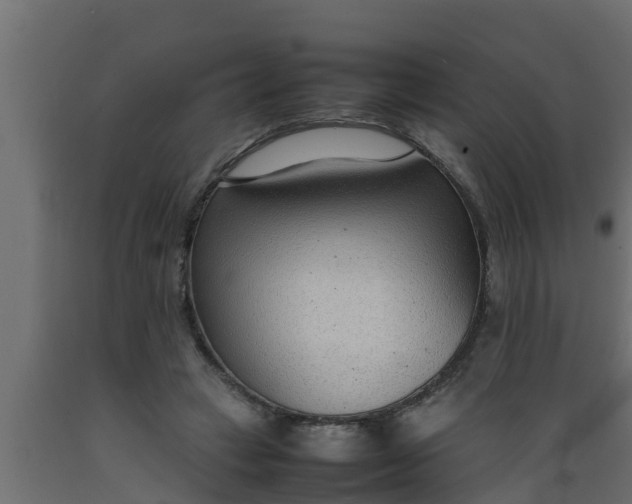 X0000089460449200707061306