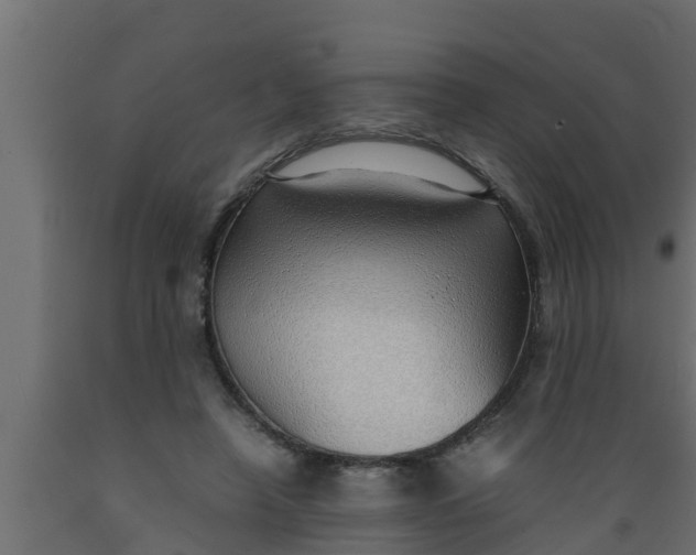 X0000089460450200707061306