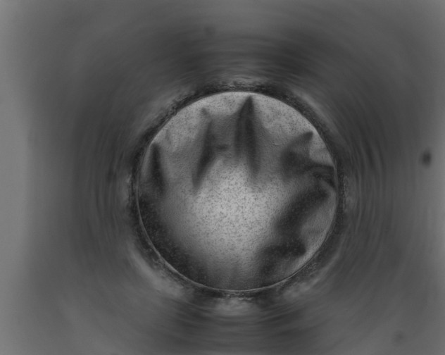 X0000089460451200707061307
