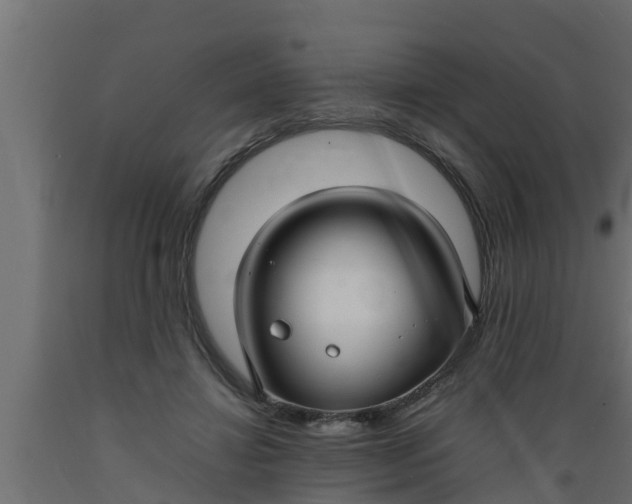 X0000089460452200707061307