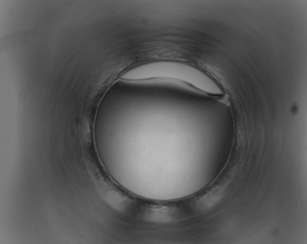 X0000089460453200707061307