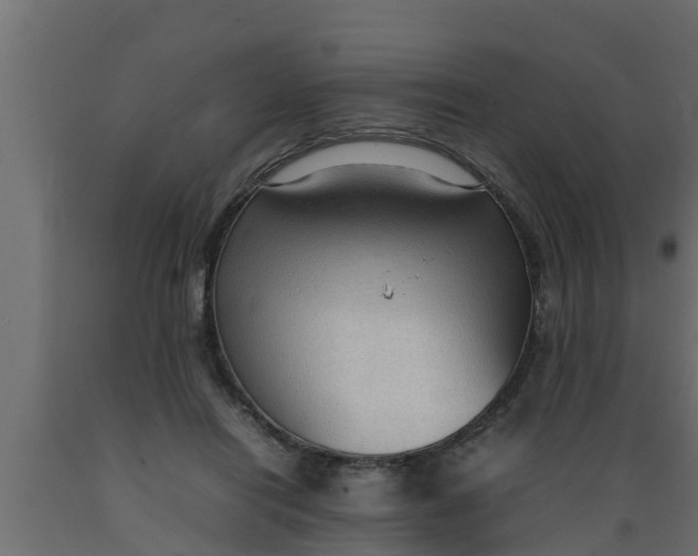 X0000089460454200707061307