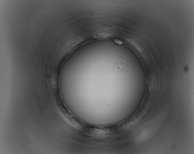 X0000089460455200707061307