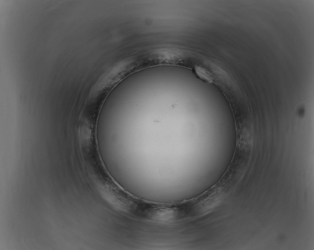 X0000089460456200707061307