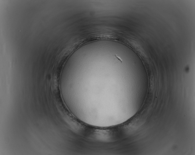 X0000089460457200707061307