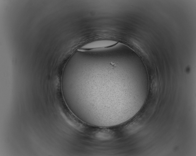 X0000089460459200707061307