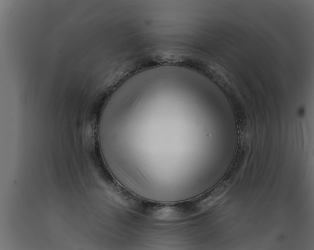 X0000089460460200707061307