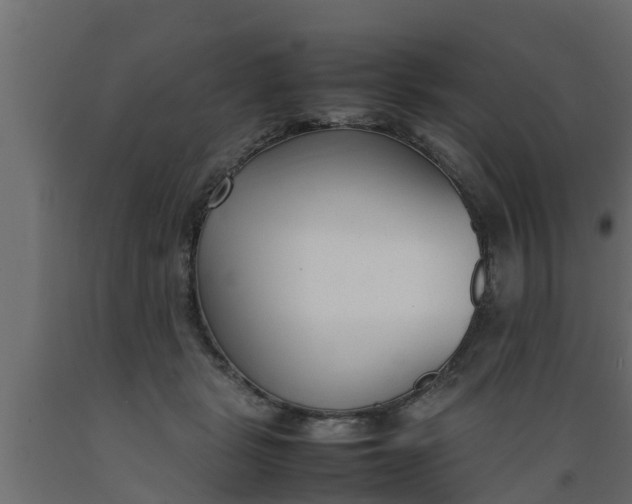 X0000089460461200707061307