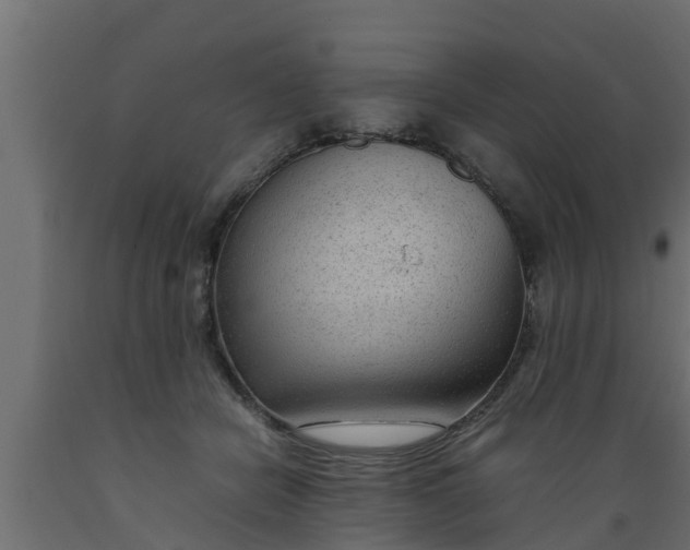X0000089460462200707061307