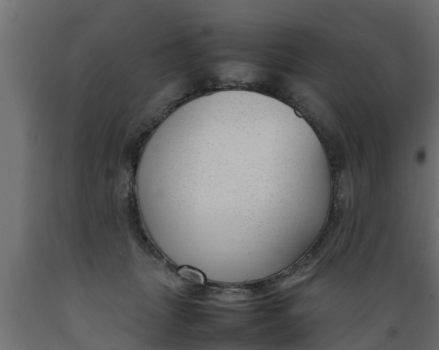 X0000089460463200707061307