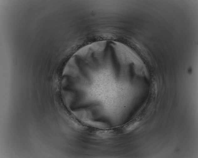 X0000089460465200707061307