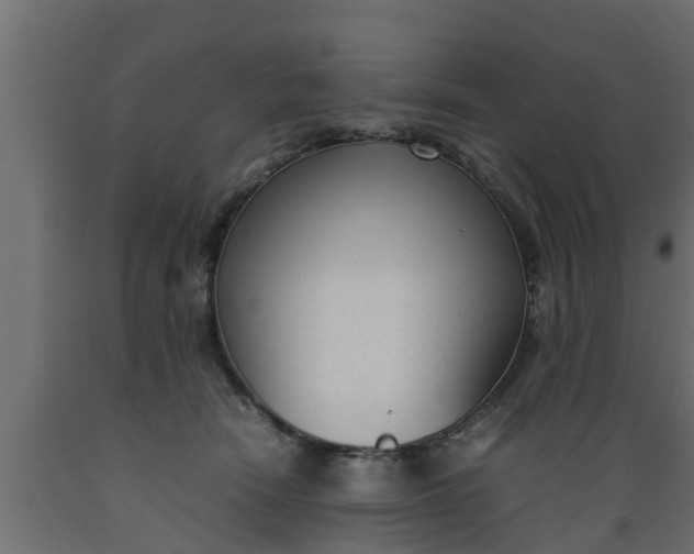 X0000089460466200707061307