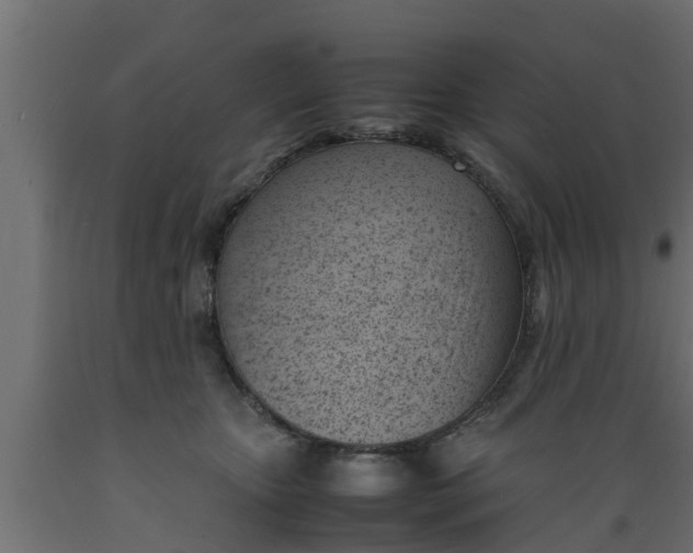 X0000089460467200707061307