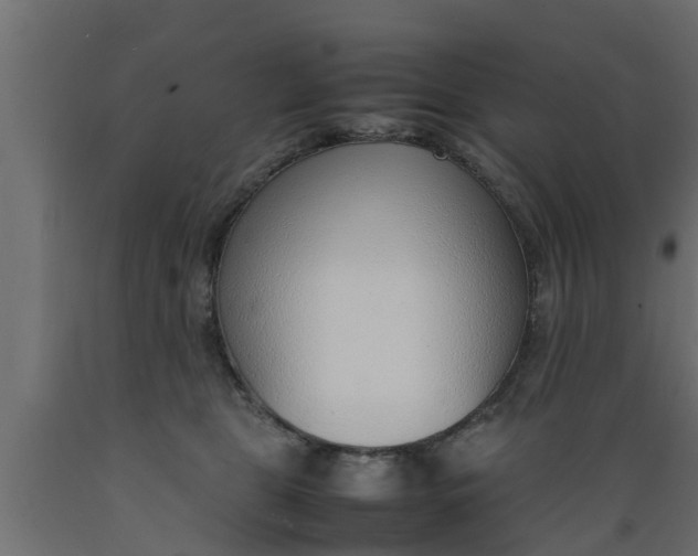 X0000089460469200707061307