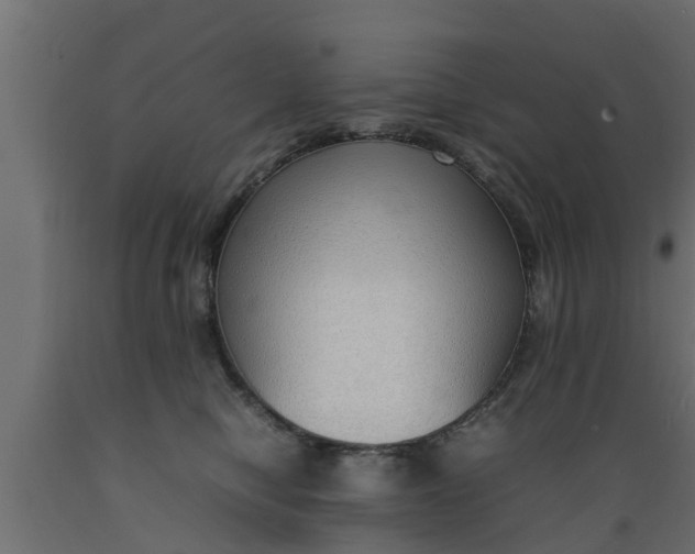 X0000089460470200707061307