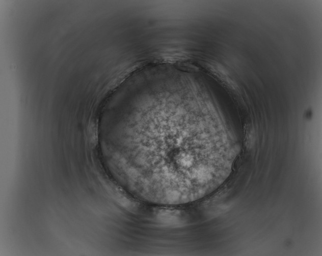 X0000089460471200707061307