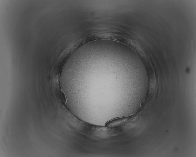 X0000089460473200707061307