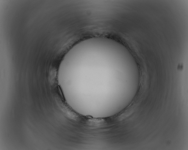 X0000089460480200707061307